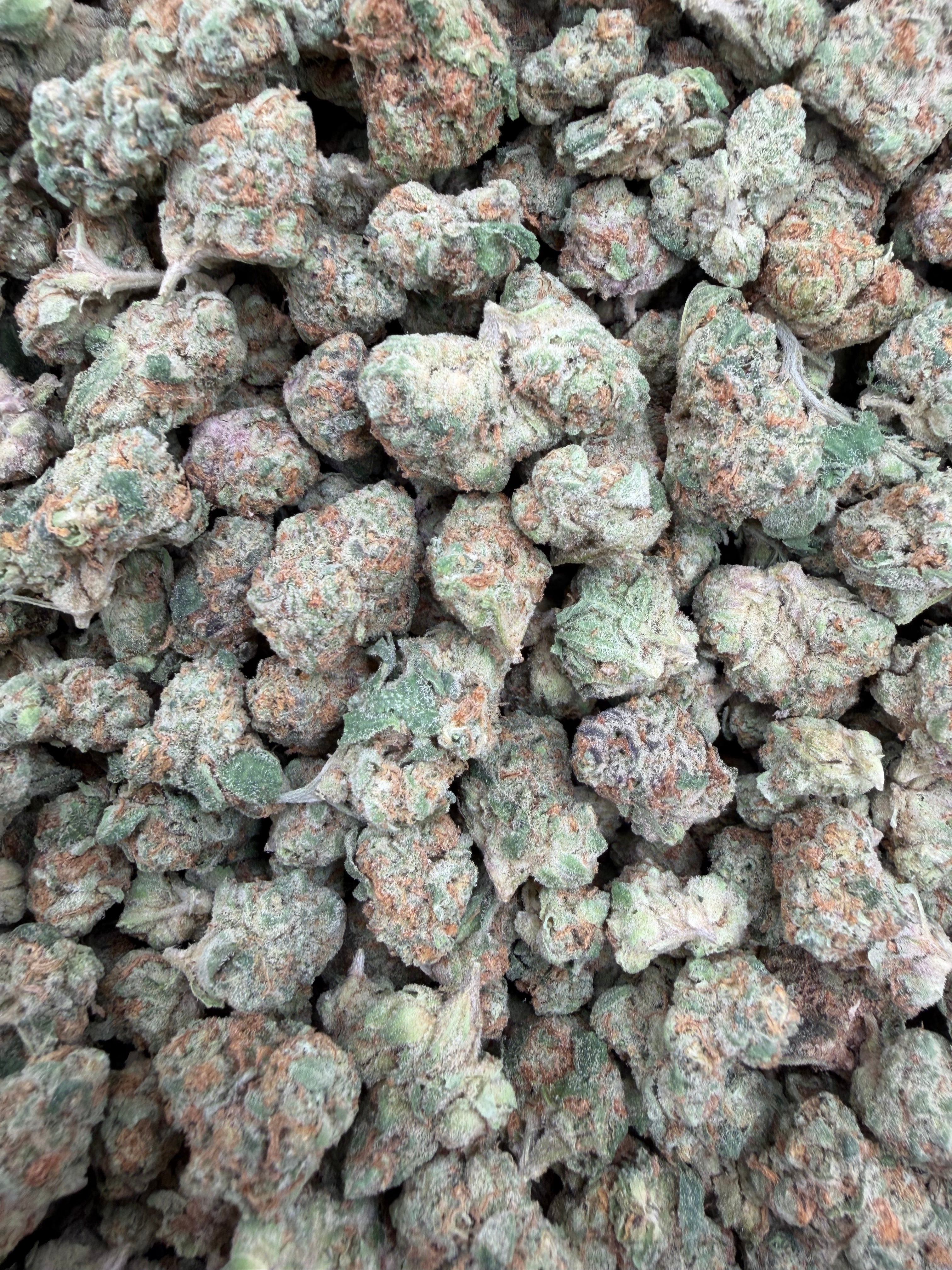Sugar Cookies Indoor Smalls THCA flower – full current-batch photo