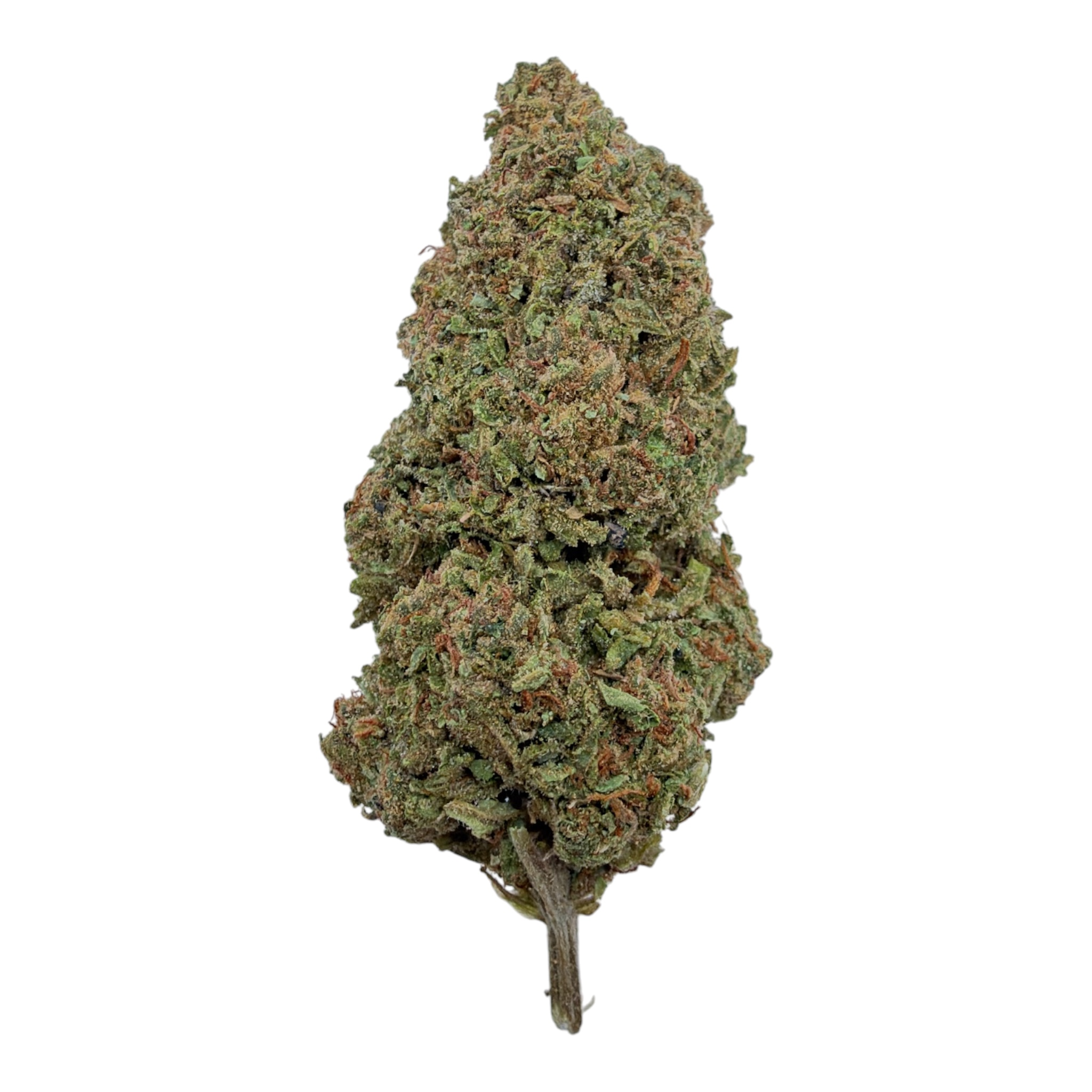 Sunset Sherbet (Light Assist) - THCA Flower