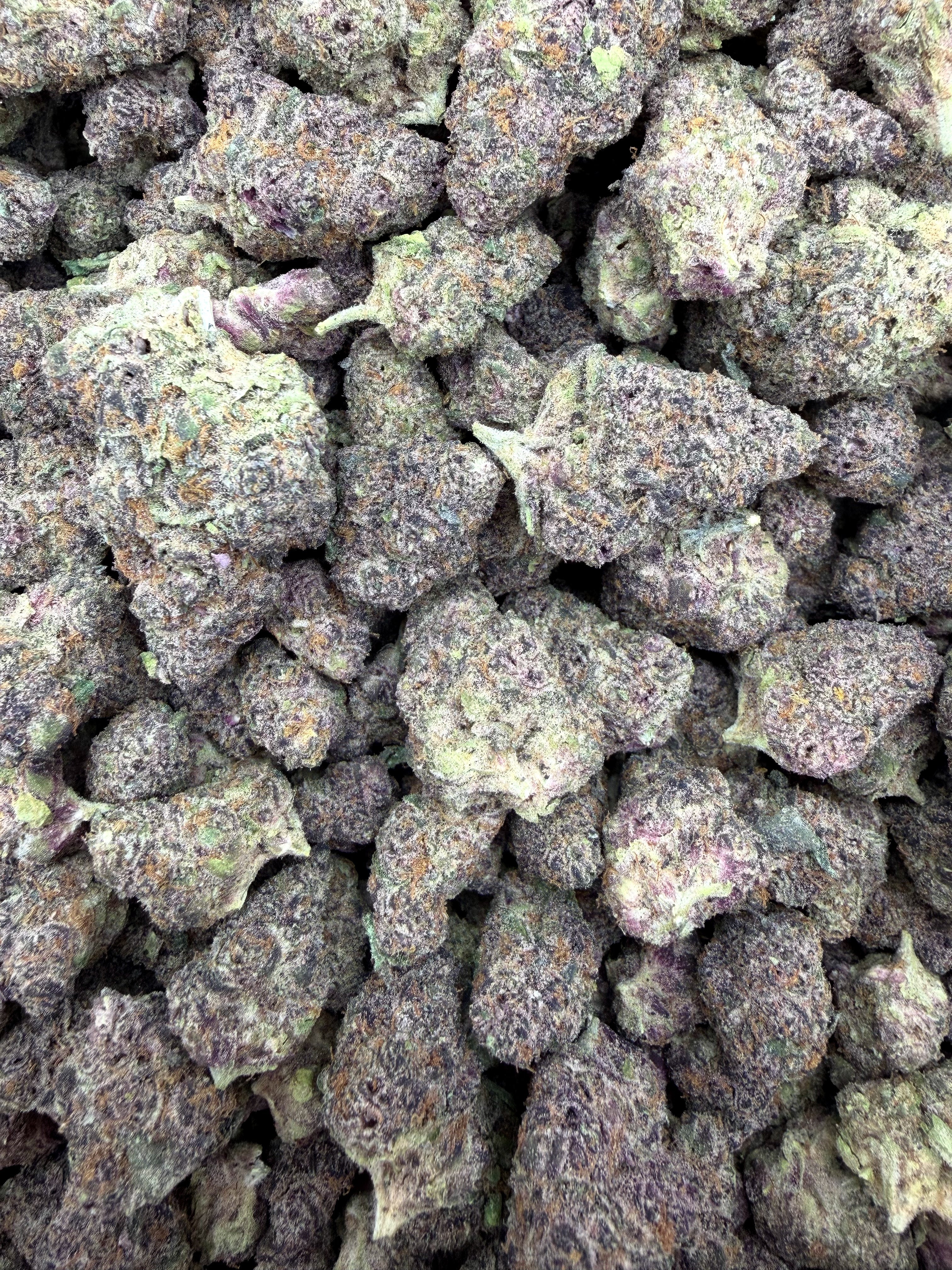 Super Buff Cherry Indoor THCA flower current batch close-up