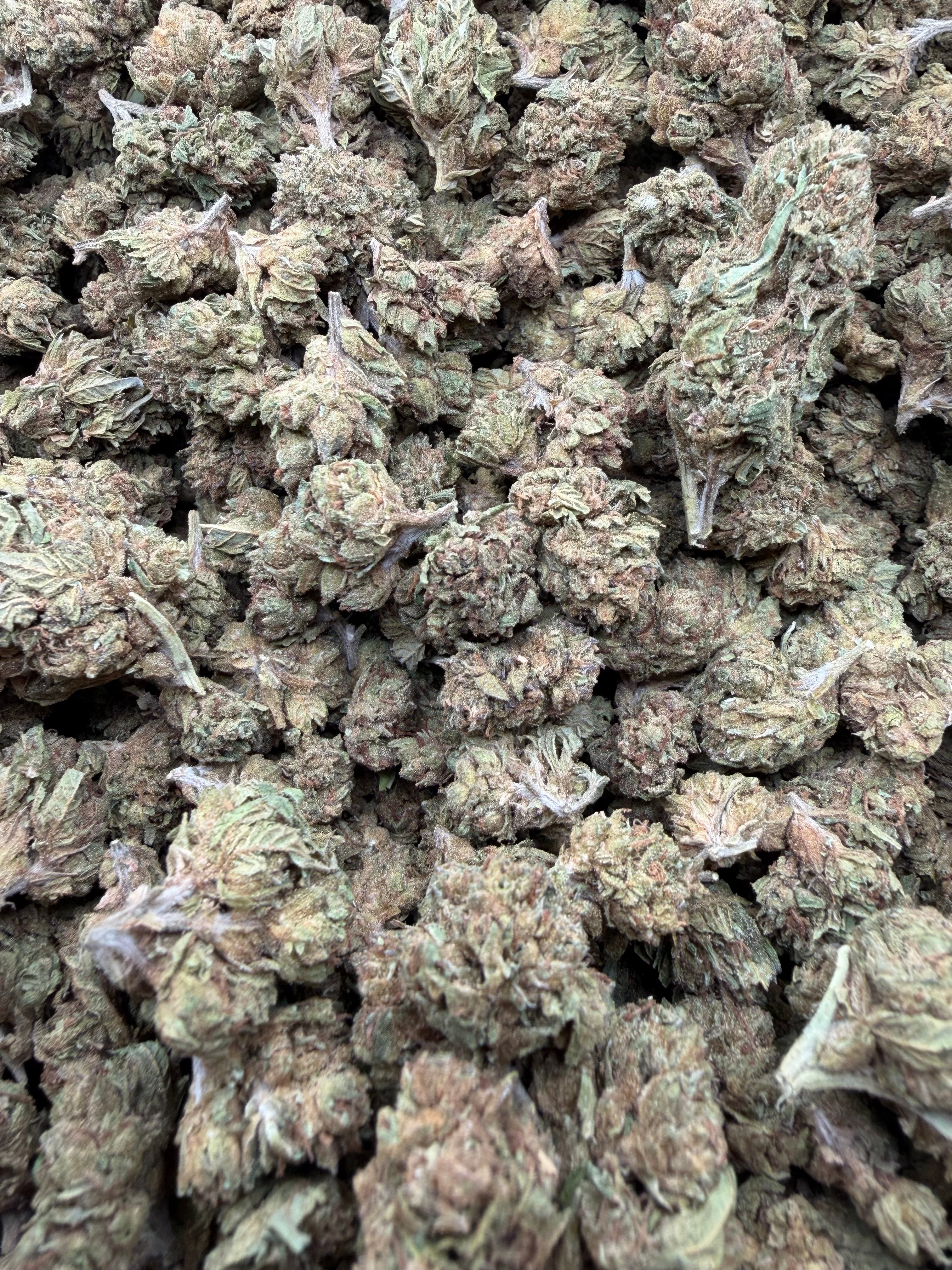 Super Runtz THCA flower