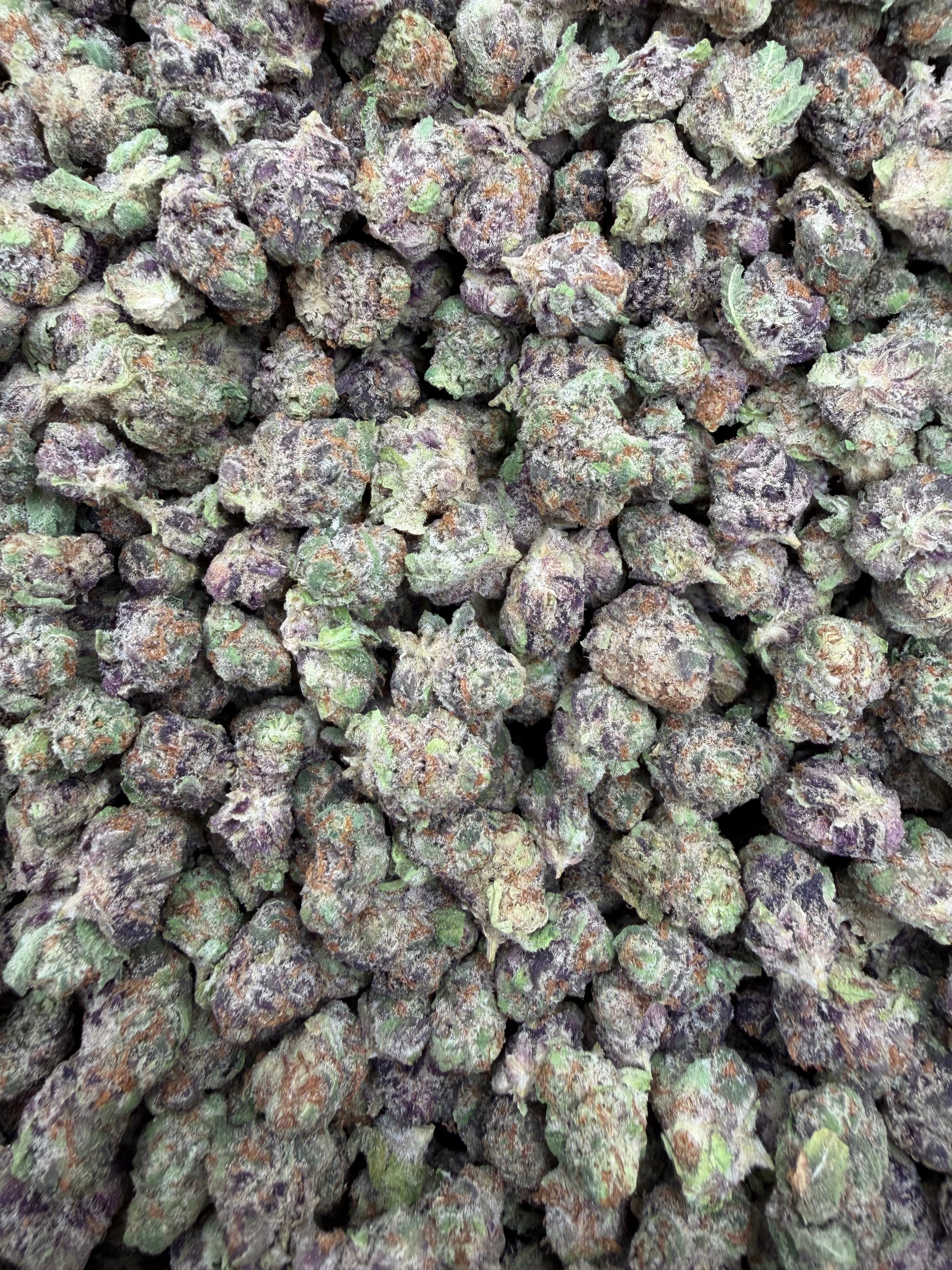 Zangria Indoor Smalls THCA flower – full current-batch photo