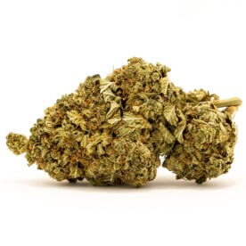 hawaiian haze cbd flower bud