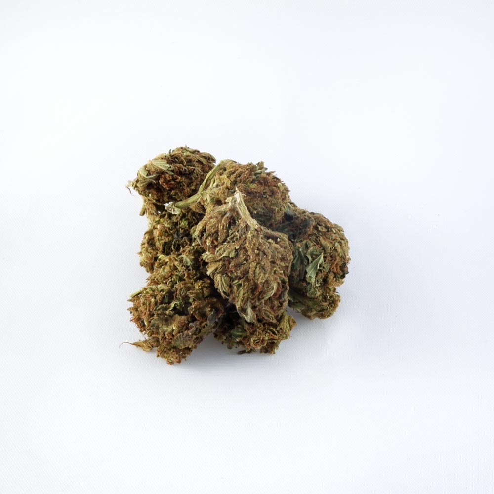 closeup of Boax Bubblegum CBD hemp bud