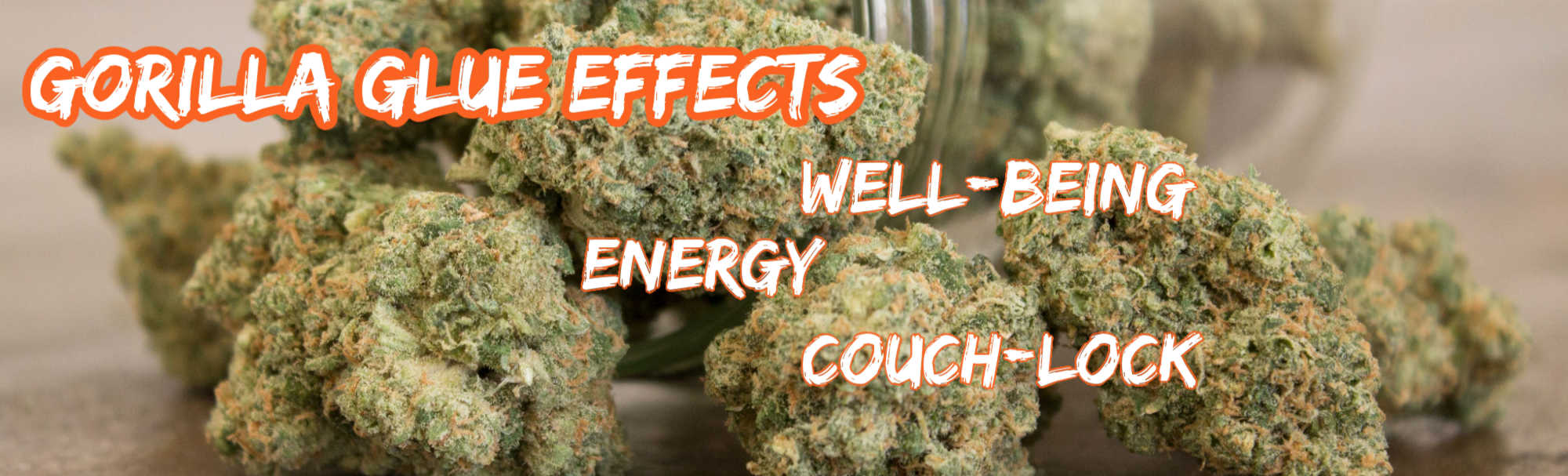 image of gorilla glue effects