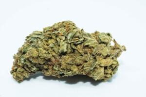 Gelato cannabis bud