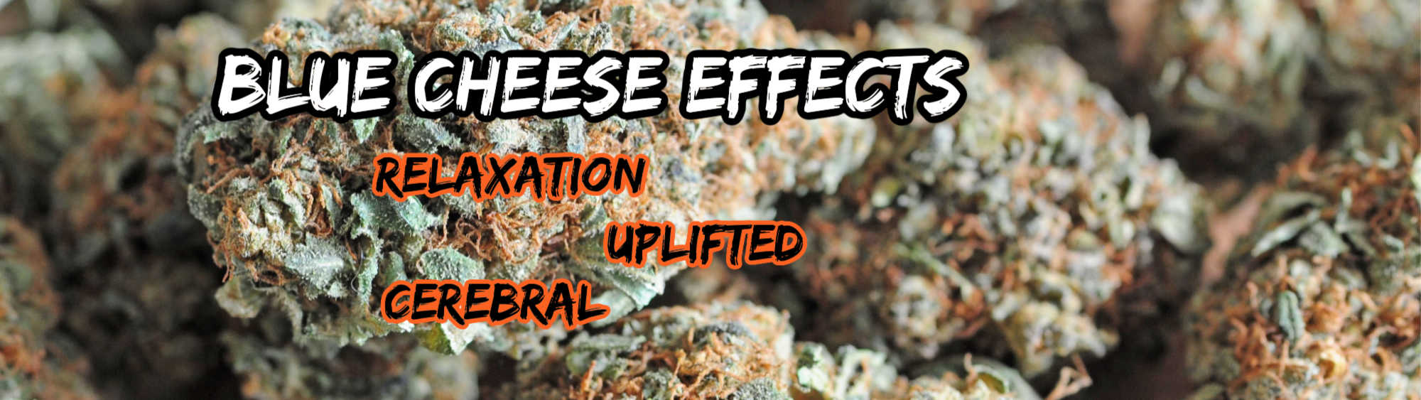 image of blue cheese effects