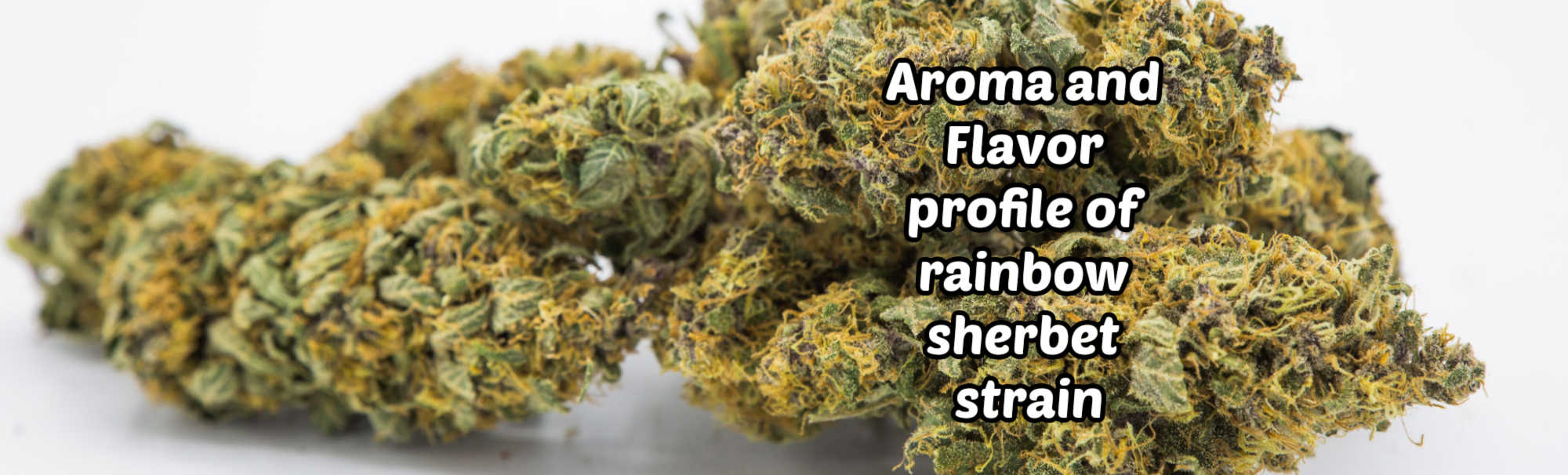 image of rainbow sherbet aroma and flavor profile