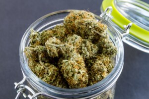 use jars and not bags when storing hemp