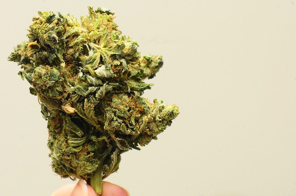 Bubba Kush Cannabis bud