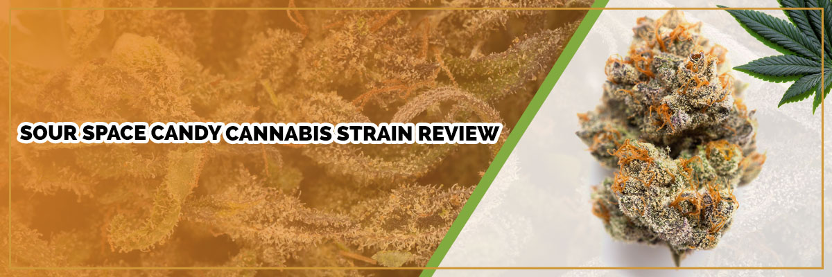 image of sour space cannabis strain page banner