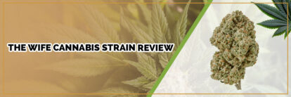 page banner of the wife cannabis strain review