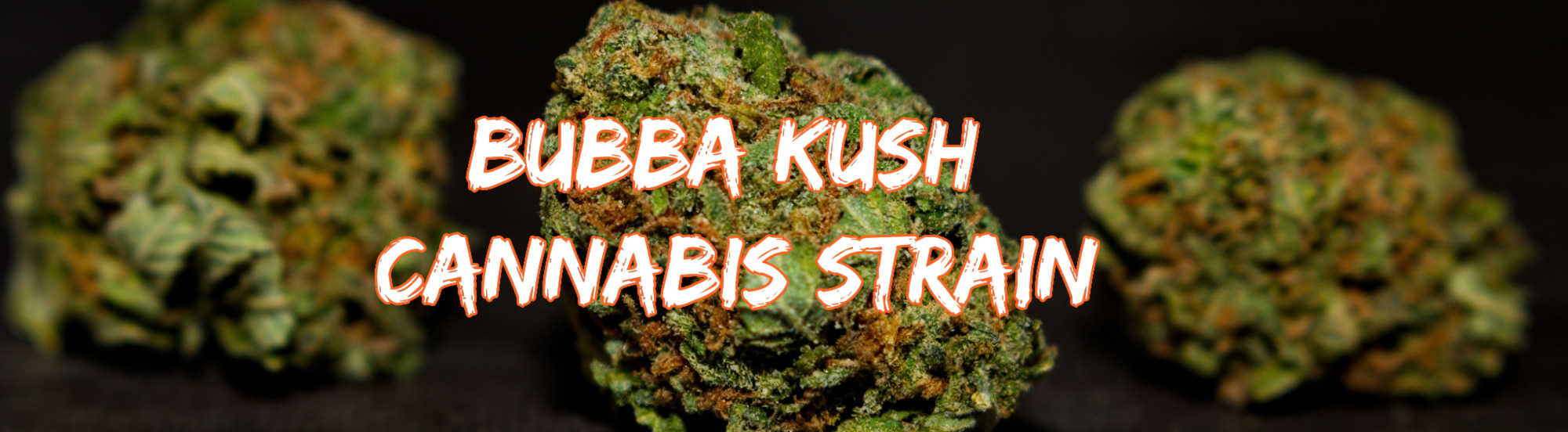 image of bubba kush strain