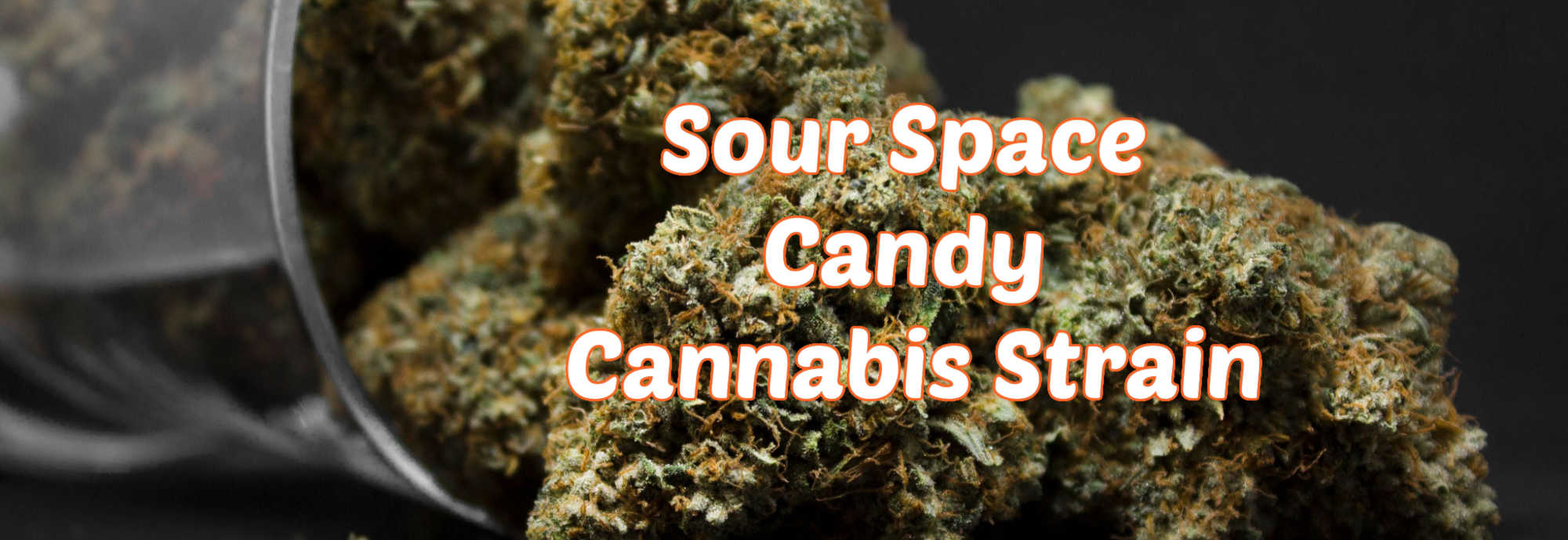 image of sour space candy strain