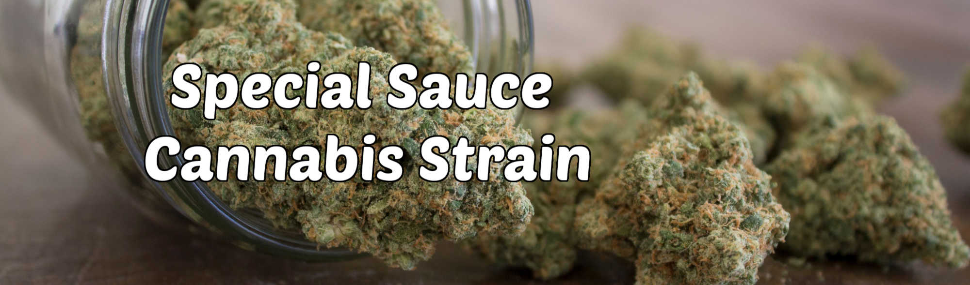 image of special sauce strain