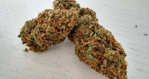 Cannatonic Cannabis bud