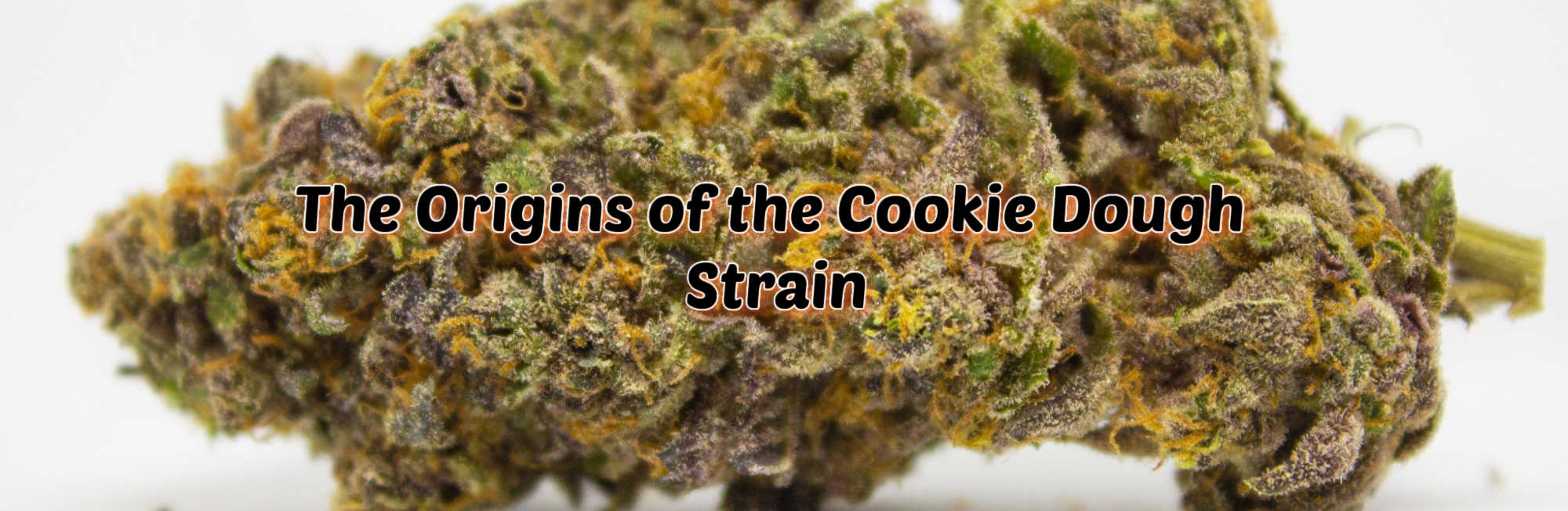 image of cookie dough strain origin