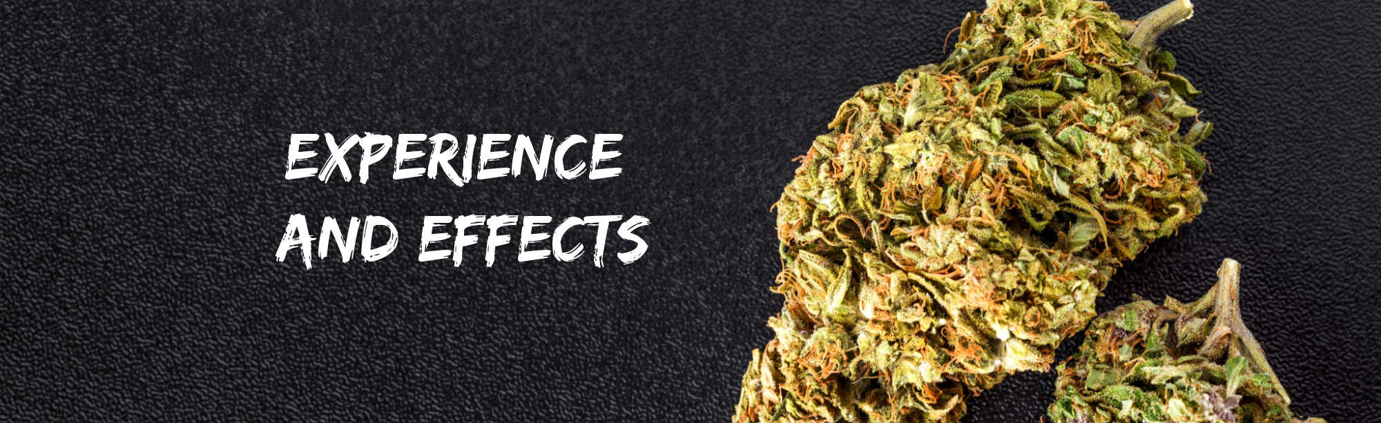 image of big smooth cannabis strain experience and effects