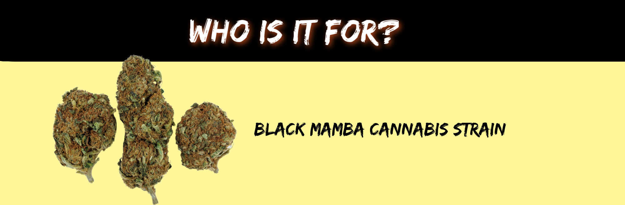 image of black mamba strain who is it for