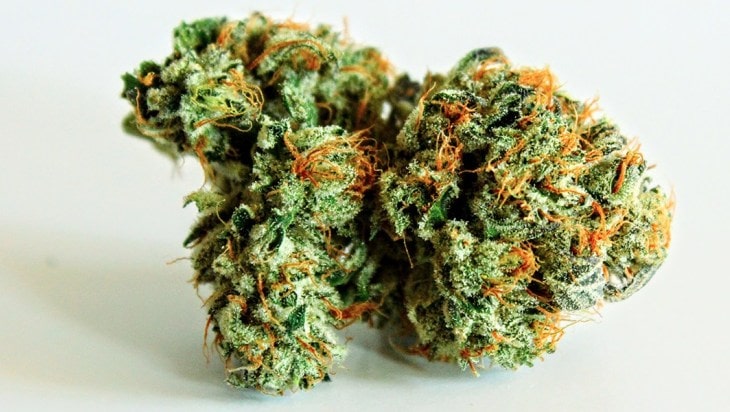 Cornbread Cannabis bud