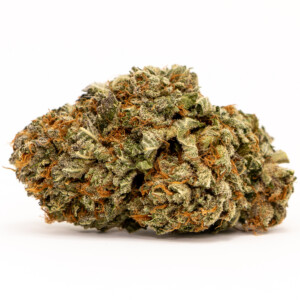 diamond OG cannabis plant