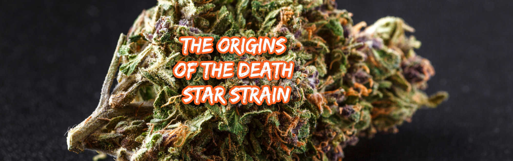 image of death star strain origin