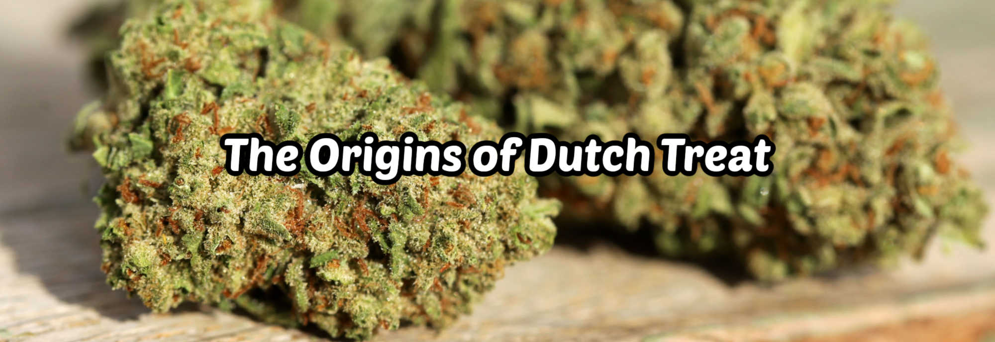 image of the origins of dutch treat