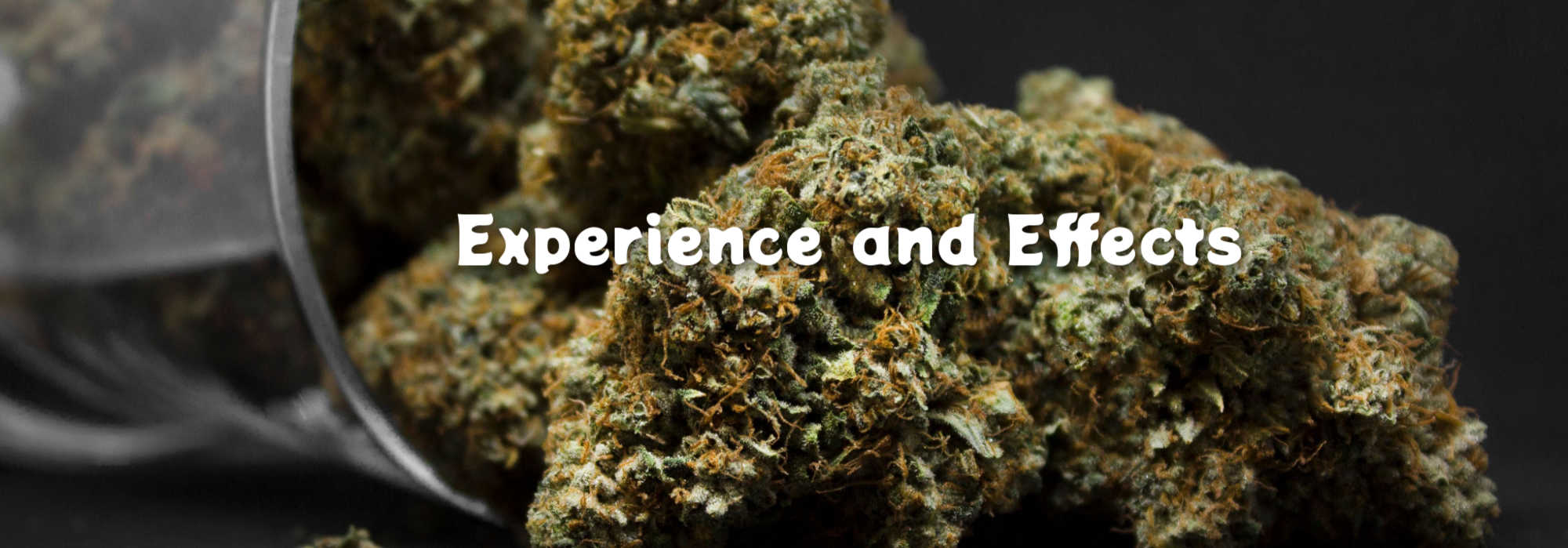 image of fruit punch cannabis strain experience and effects