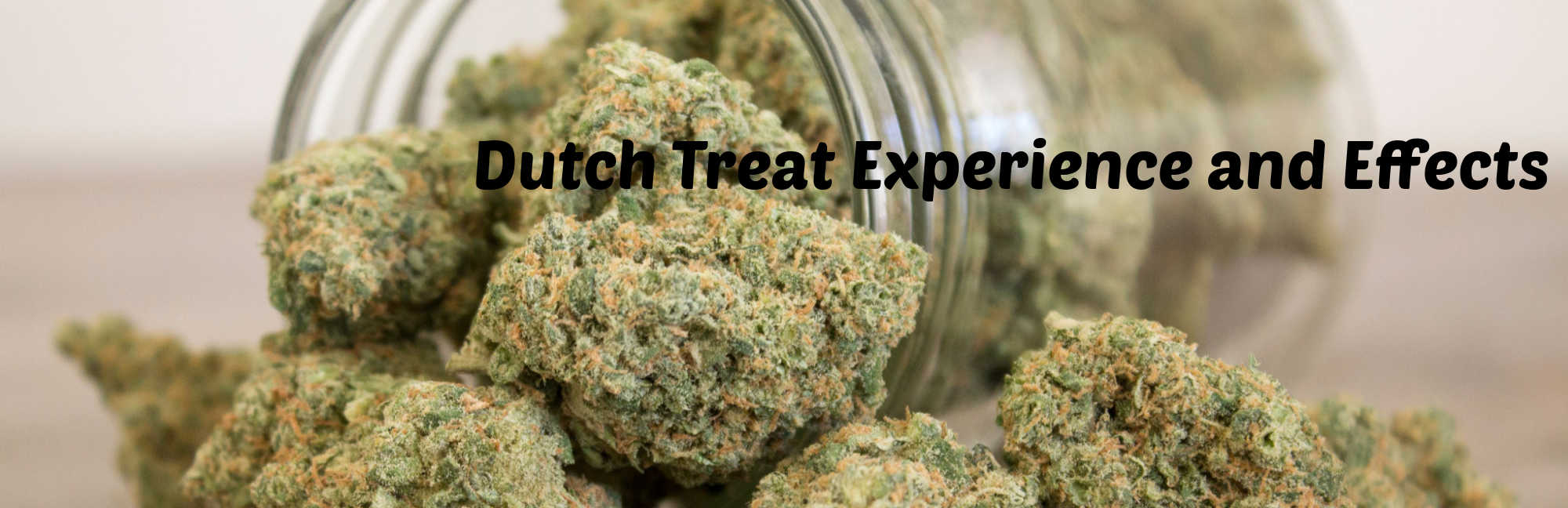 image of dutch treat cannabis strain experience and effects