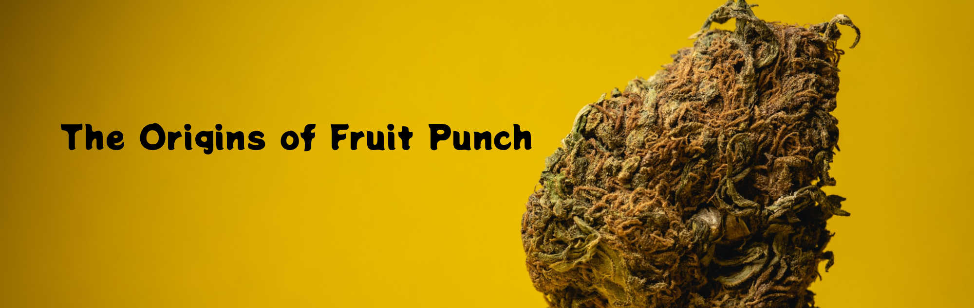 image of origin of fruit punch cannabis strain