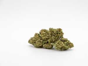 Cinex Cannabis bud