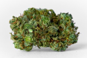 Ghost OG Cannabis bud
