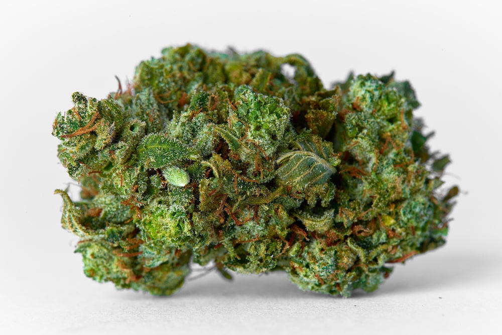 Ghost OG Cannabis bud.