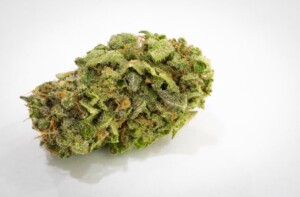 Jack Skellington Cannabis bud