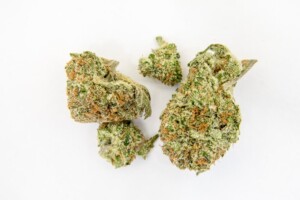 Pennywise Cannabis bud