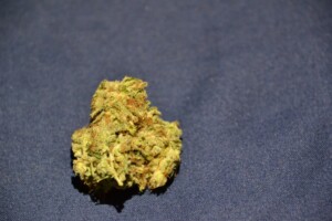 Super Glue Cannabis bud