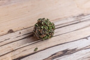 Permafrost Cannabis bud