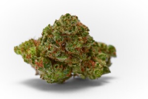 New York Diesel Cannabis bud