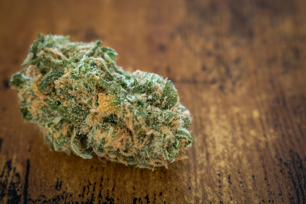 Pineapple Cannabis Strain Review Industrial Hemp Farms