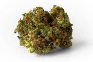 Triangle Kush Cannabis bud