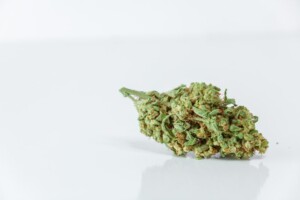 Wookies Cannabis bud