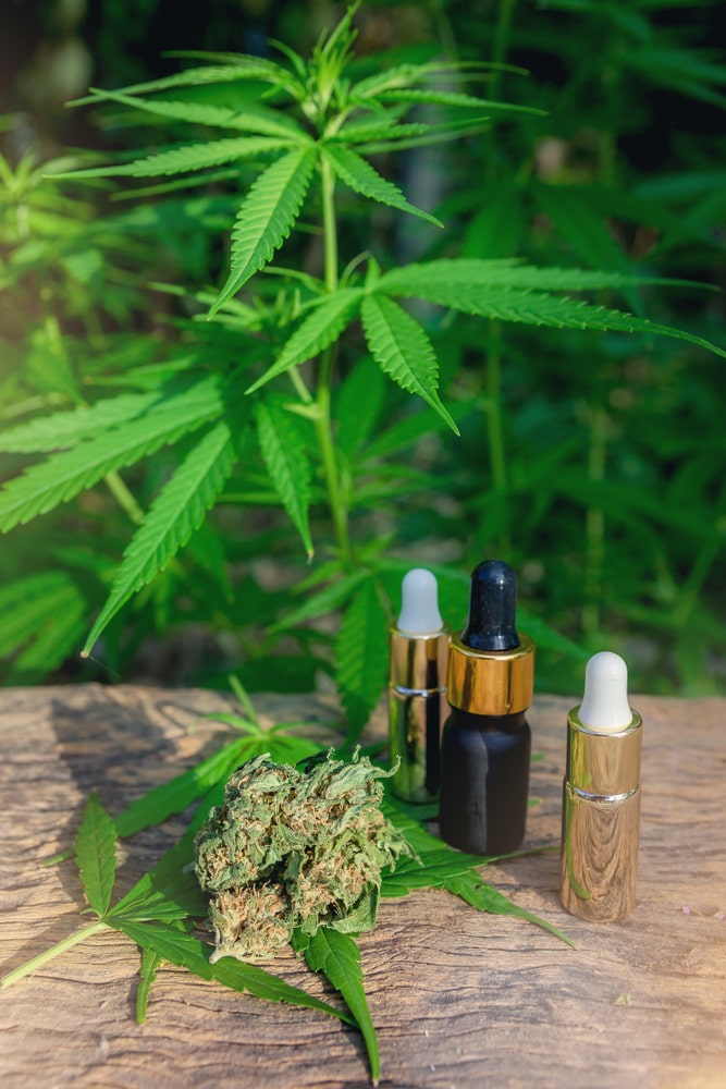 Mary’s Medicinals CBD Oil