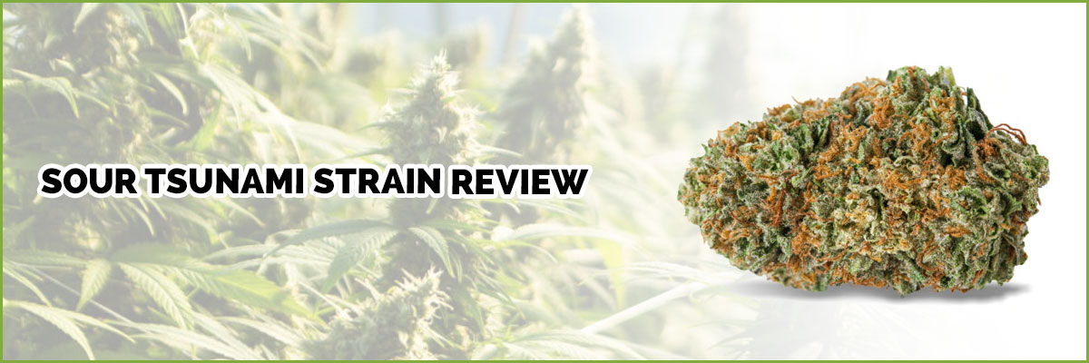 image-sour-Tsunami-review