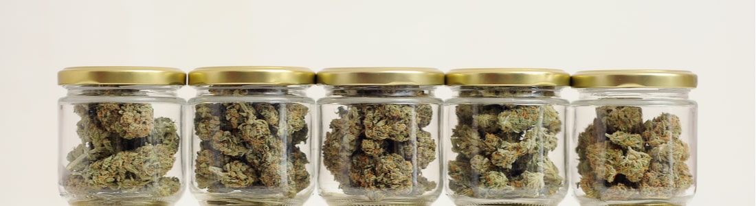 image-of-hemp-flower-in-jar