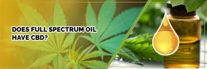 image of page banner does full spectrum oil have cbd