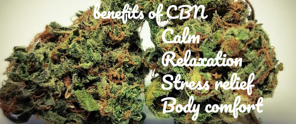 image of cbn hemp flower benefits