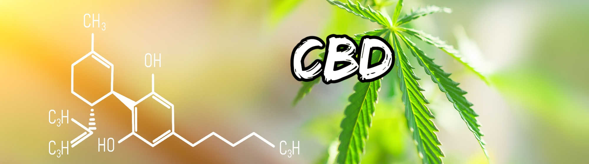 image of what is cbd
