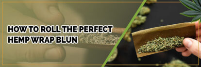 banner of how to roll the perfect hemp wrap blun