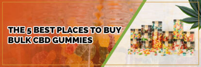 page banner of 5 best places to buy bulk cbd gummies