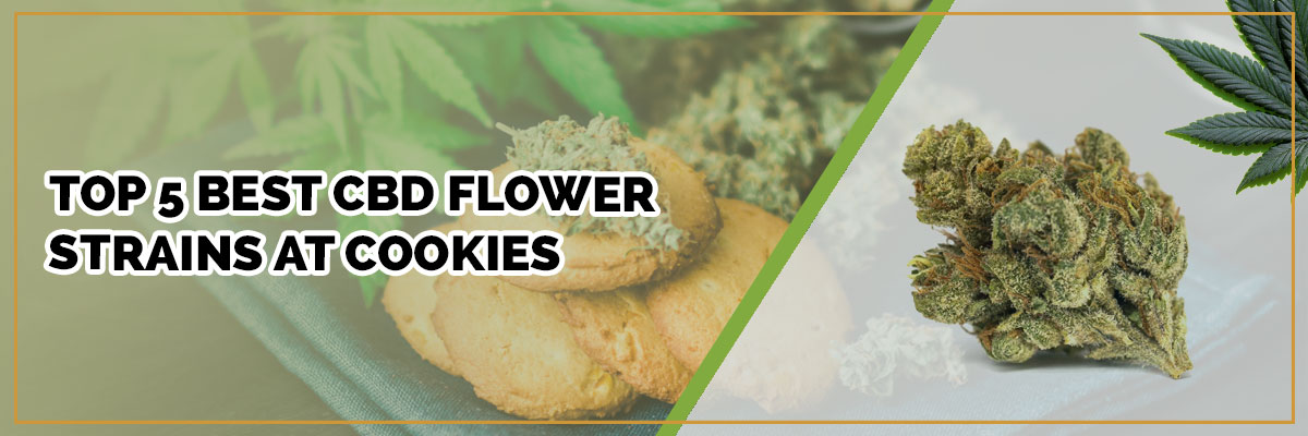 page banner of top 5 best cbd flower strains at cookies