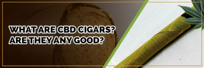 banner of what are cbd cigars